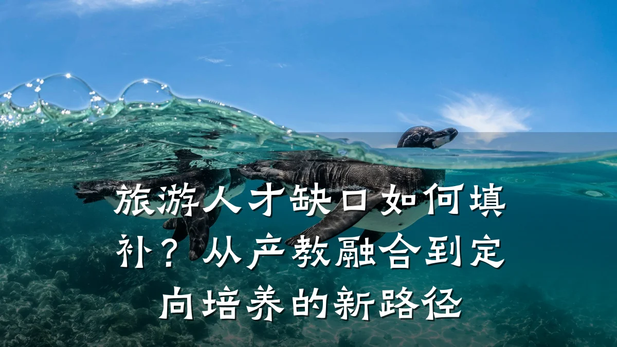 旅游人才缺口如何填补?从产教融合到定向培养的新路径