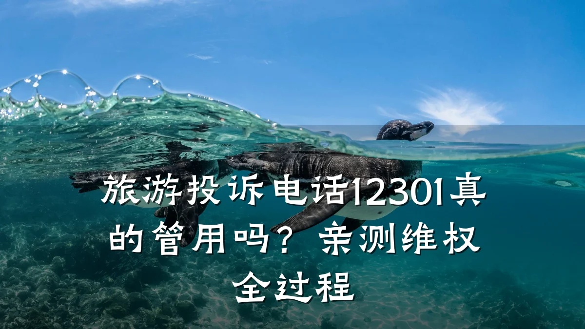 旅游投诉电话12301真的管用吗?亲测维权全过程