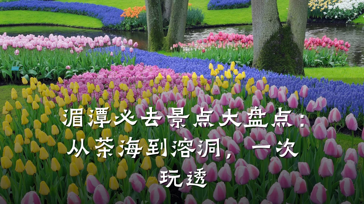 湄潭必去景点大盘点:从茶海到溶洞,一次玩透