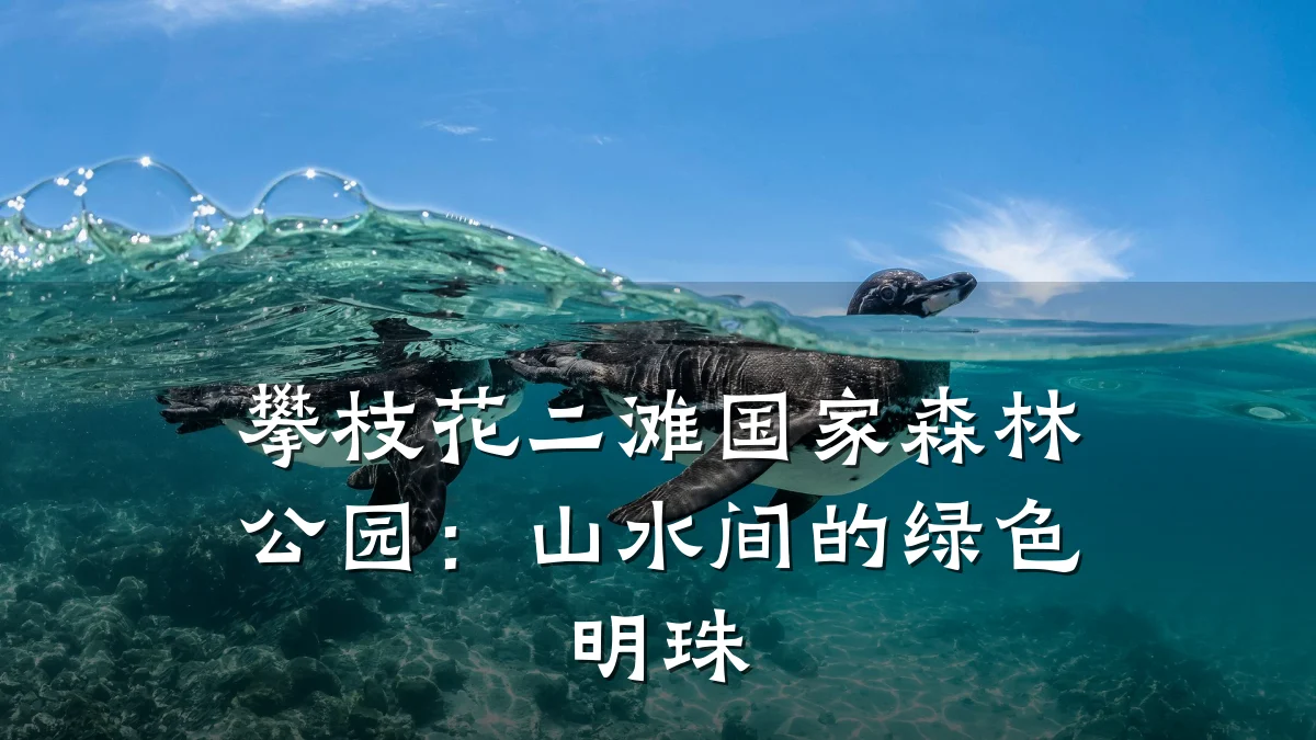 攀枝花二滩国家森林公园:山水间的绿色明珠
