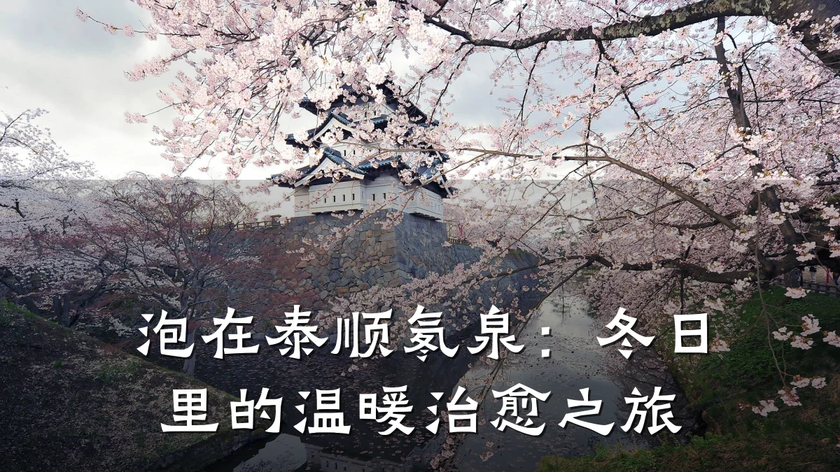 泡在泰顺氡泉:冬日里的温暖治愈之旅
