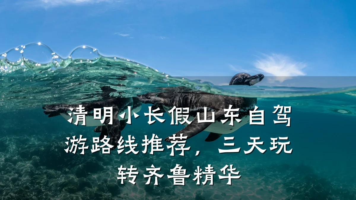 清明小长假山东自驾游路线推荐,三天玩转齐鲁精华