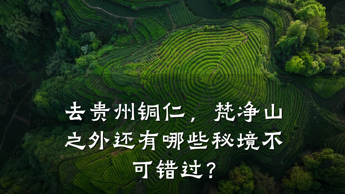 去贵州铜仁,梵净山之外还有哪些秘境不可错过?