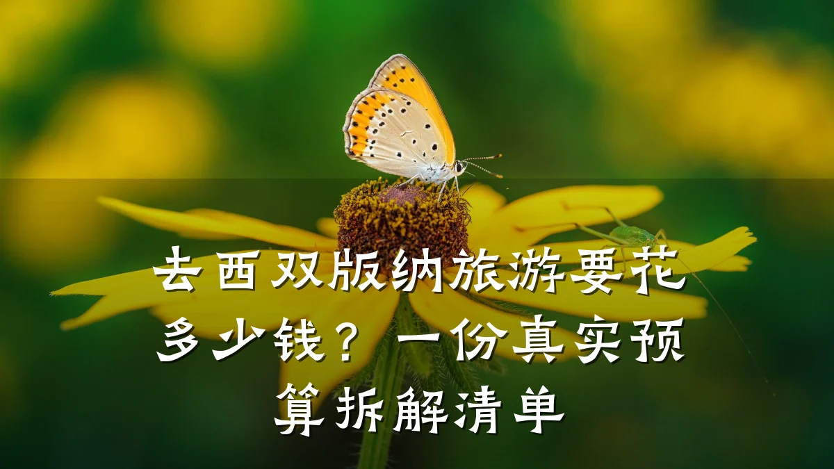 去西双版纳旅游要花多少钱?一份真实预算拆解清单