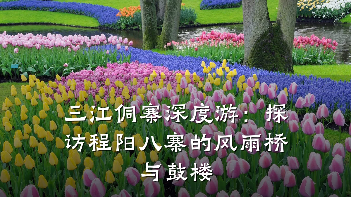 三江侗寨深度游:探访程阳八寨的风雨桥与鼓楼