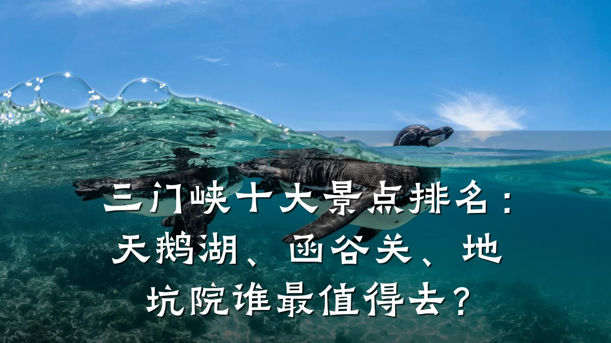 三门峡十大景点排名:天鹅湖、函谷关、地坑院谁最值得去?