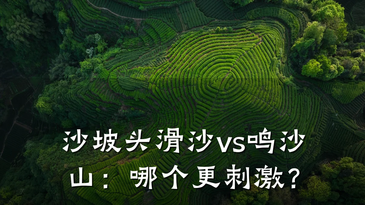 沙坡头滑沙vs鸣沙山：哪个更刺激？