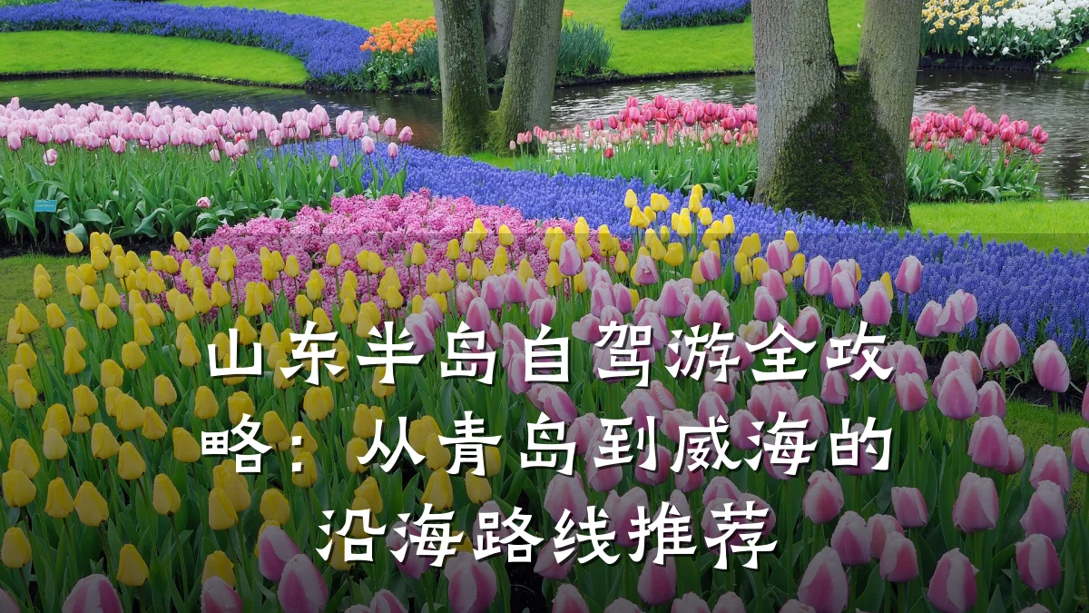 山东半岛自驾游全攻略:从青岛到威海的沿海路线推荐