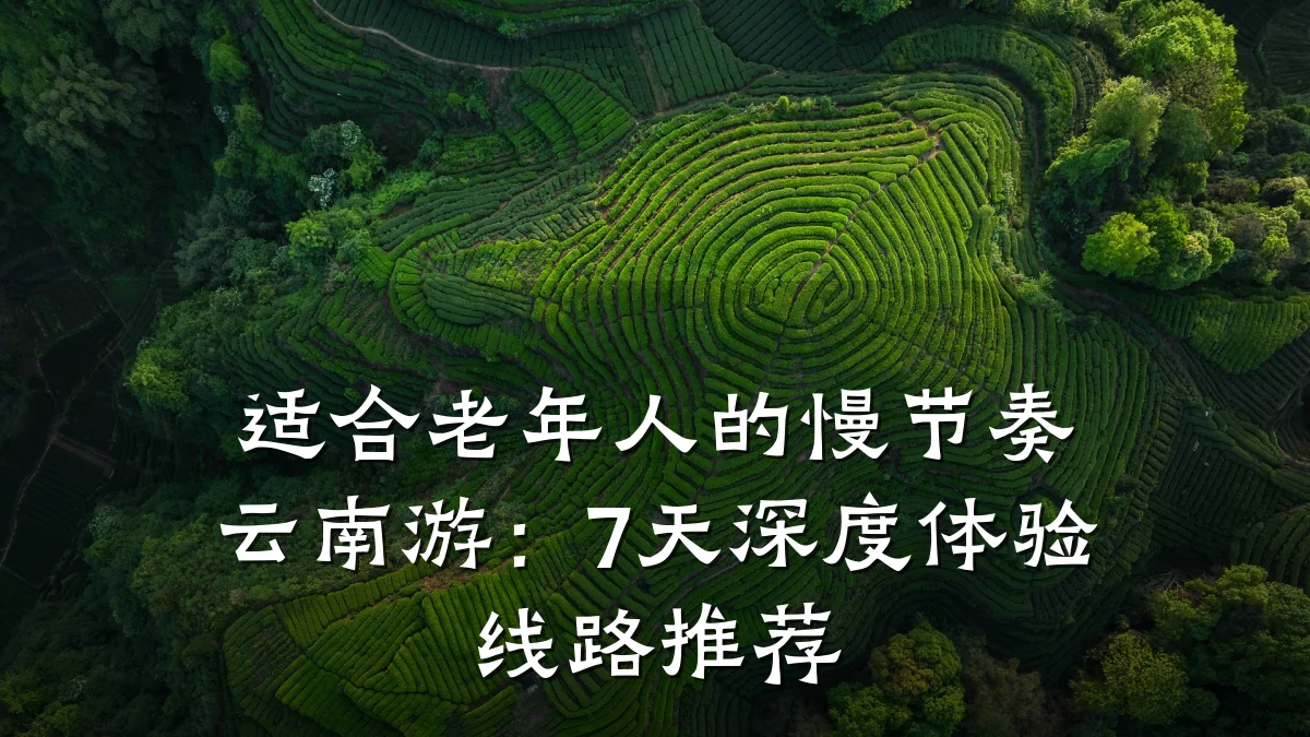 适合老年人的慢节奏云南游：7天深度体验线路推荐