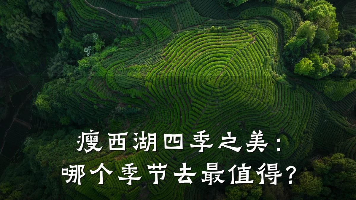 瘦西湖四季之美:哪个季节去最值得?