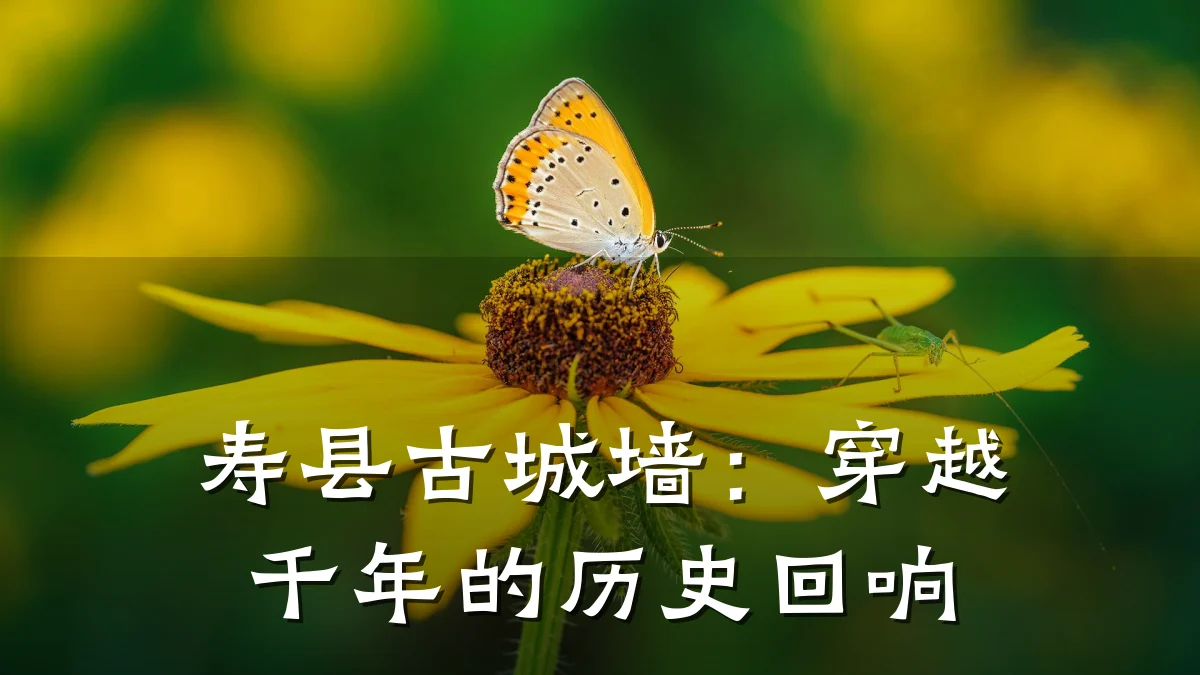 寿县古城墙:穿越千年的历史回响
