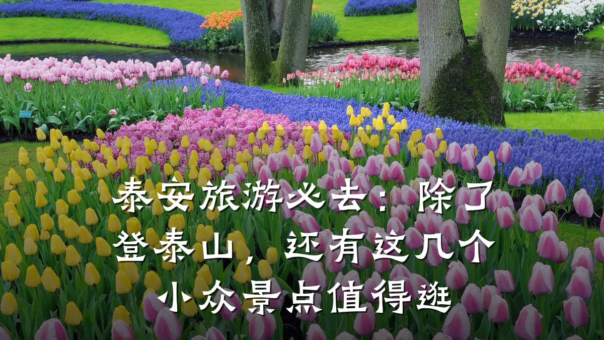 泰安旅游必去:除了登泰山,还有这几个小众景点值得逛