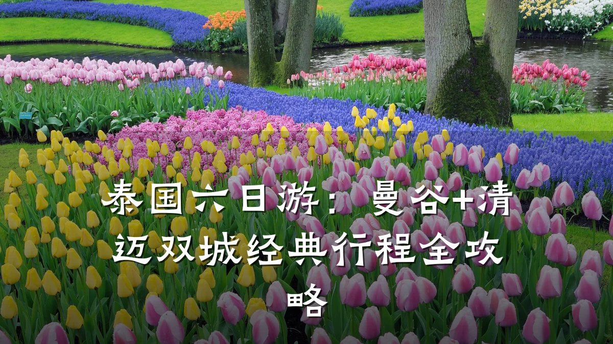 泰国六日游:曼谷+清迈双城经典行程全攻略