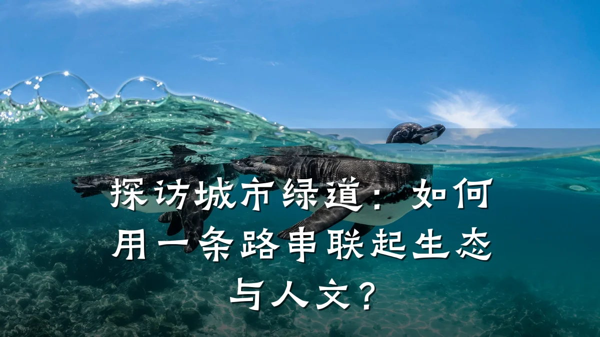 探访城市绿道:如何用一条路串联起生态与人文?