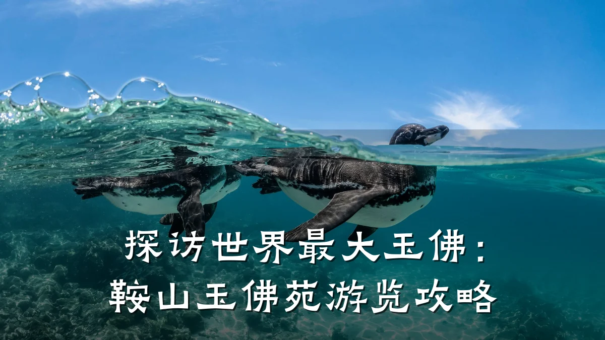 探访世界最大玉佛:鞍山玉佛苑游览攻略