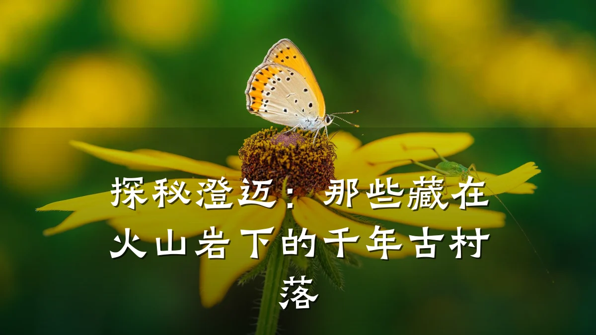 探秘澄迈:那些藏在火山岩下的千年古村落