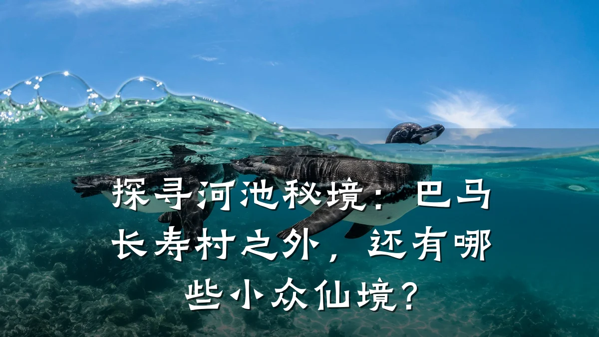 探寻河池秘境:巴马长寿村之外,还有哪些小众仙境?
