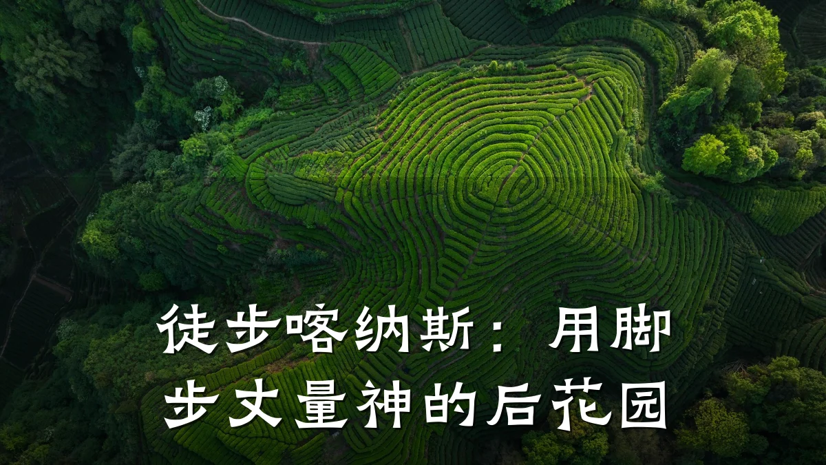 徒步喀纳斯:用脚步丈量神的后花园