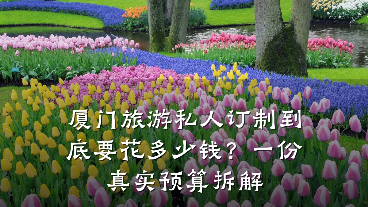厦门旅游私人订制到底要花多少钱?一份真实预算拆解