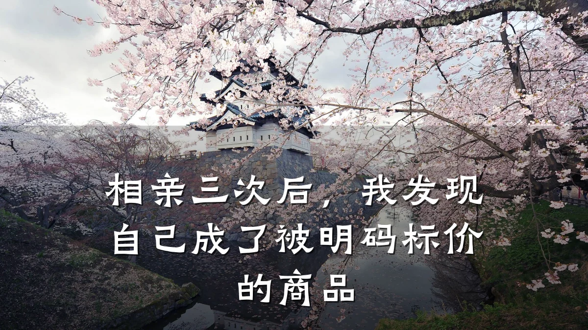 相亲三次后,我发现自己成了被明码标价的商品