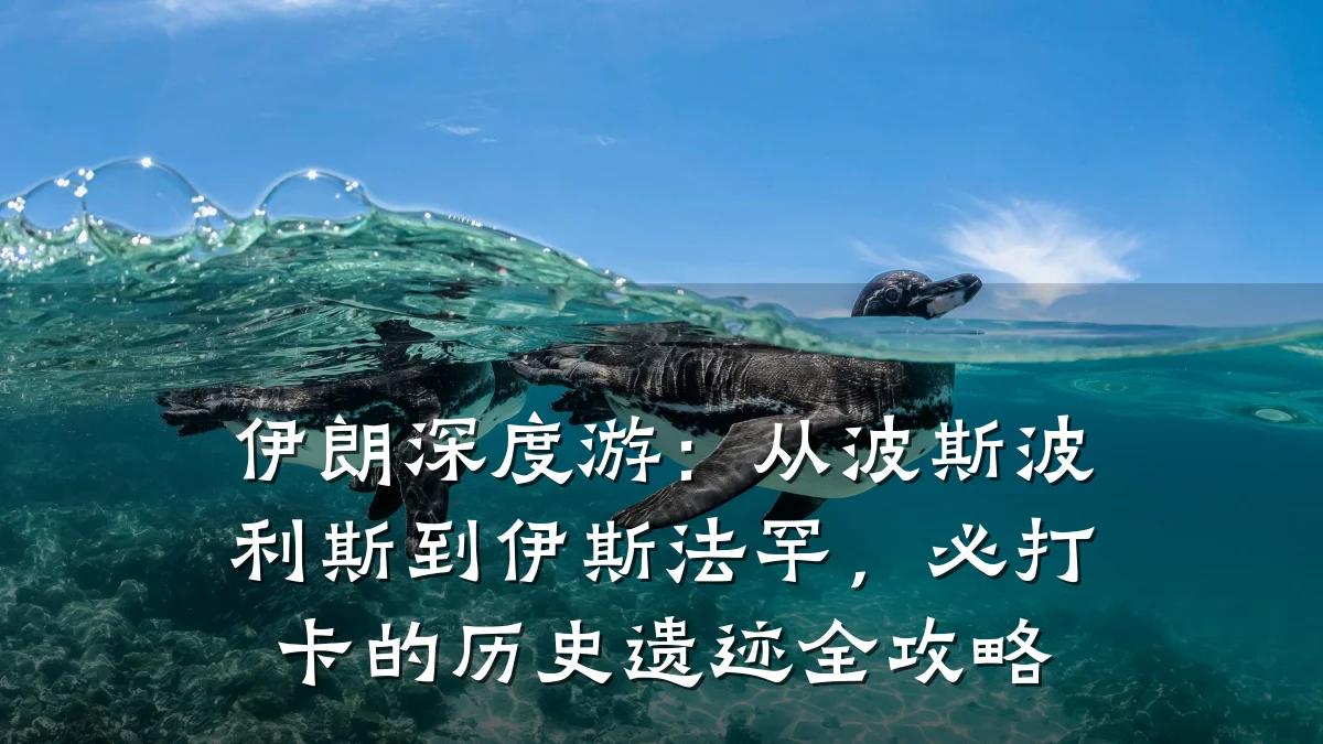 伊朗深度游:从波斯波利斯到伊斯法罕,必打卡的历史遗迹全攻略