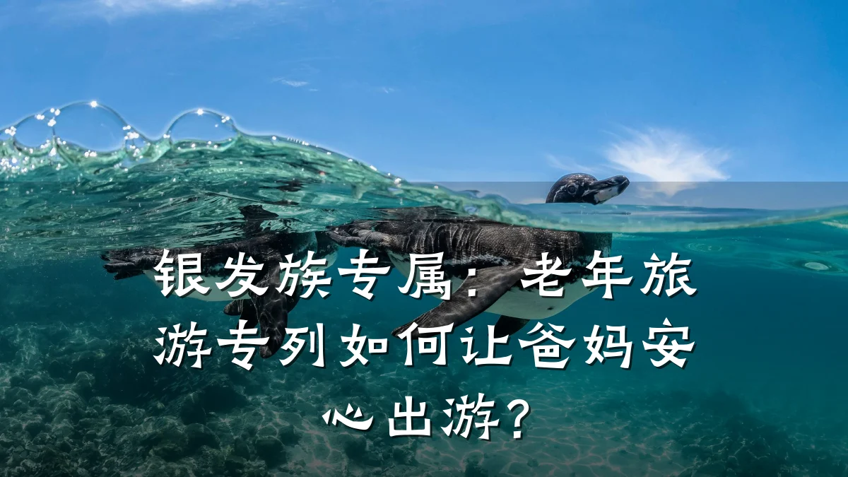 银发族专属:老年旅游专列如何让爸妈安心出游?