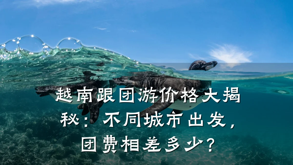 越南跟团游价格大揭秘：不同城市出发，团费相差多少？