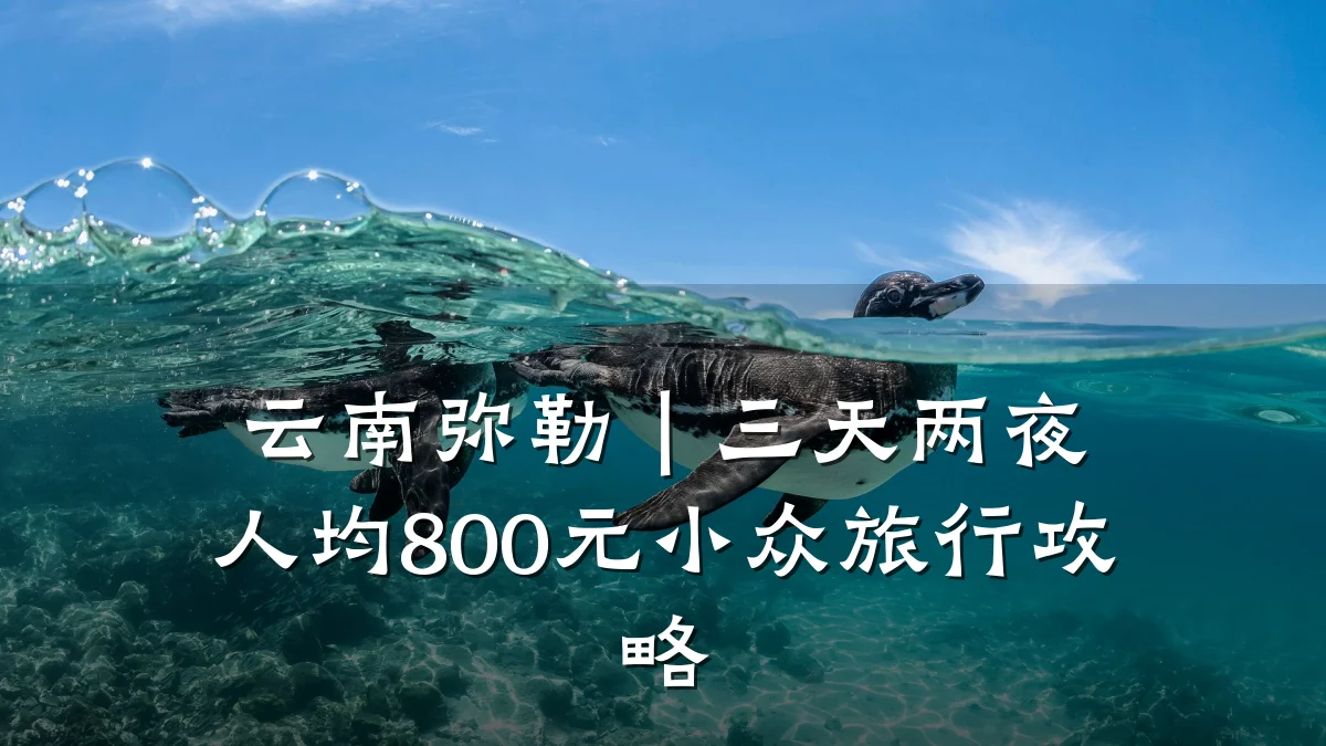 云南弥勒|三天两夜人均800元小众旅行攻略