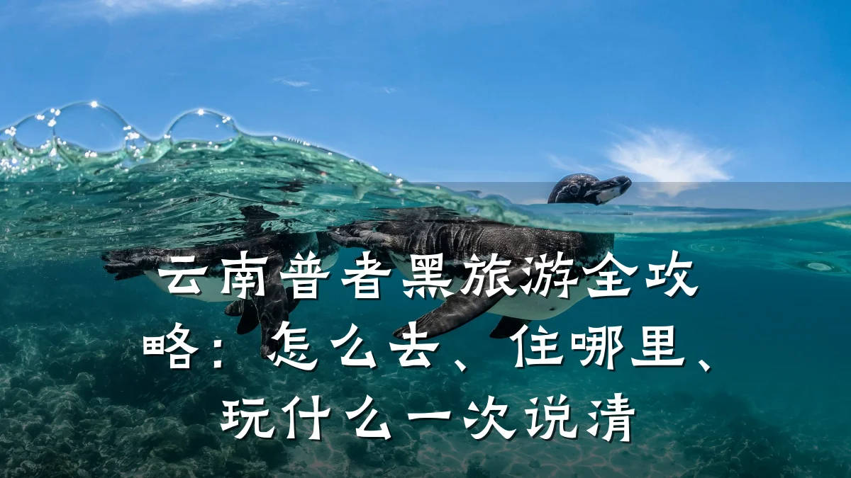 云南普者黑旅游全攻略:怎么去、住哪里、玩什么一次说清