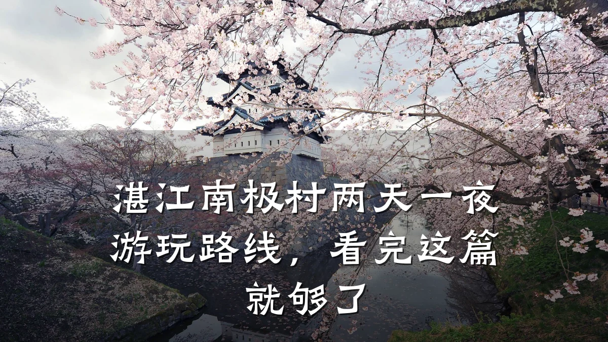 湛江南极村两天一夜游玩路线,看完这篇就够了