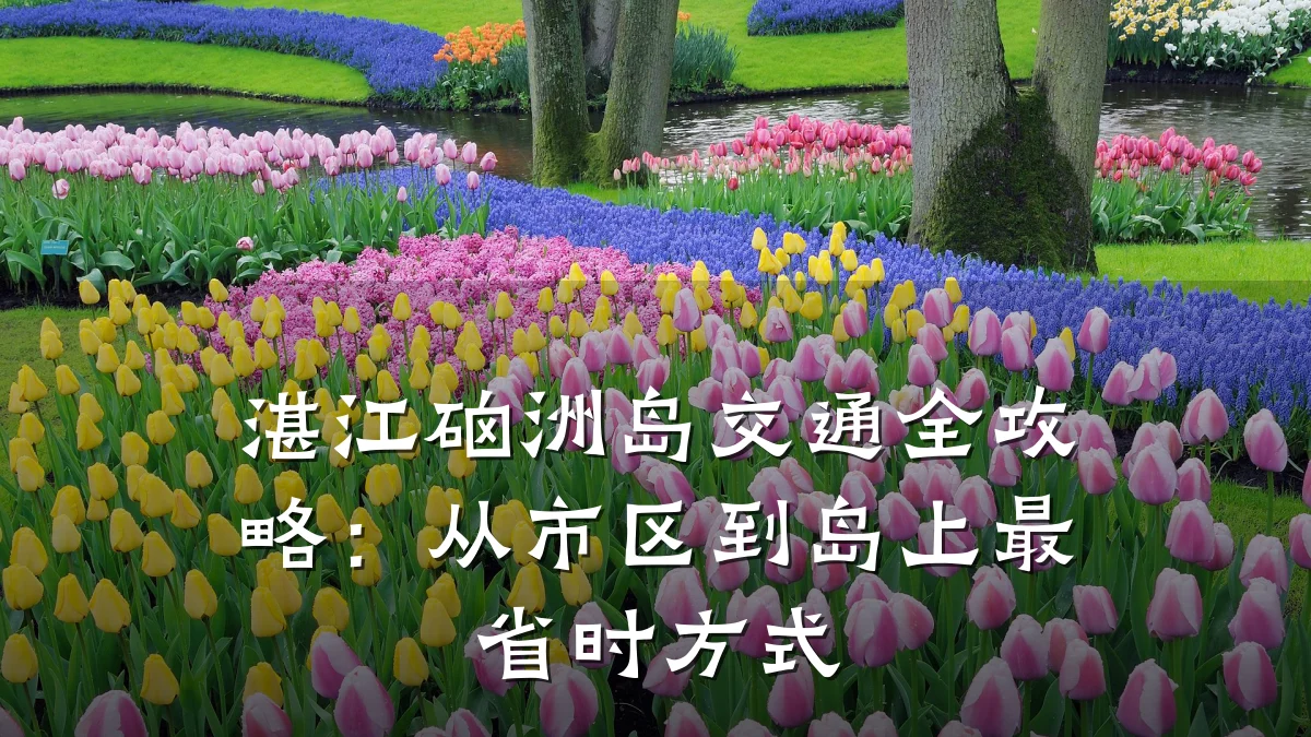 湛江硇洲岛交通全攻略:从市区到岛上最省时方式
