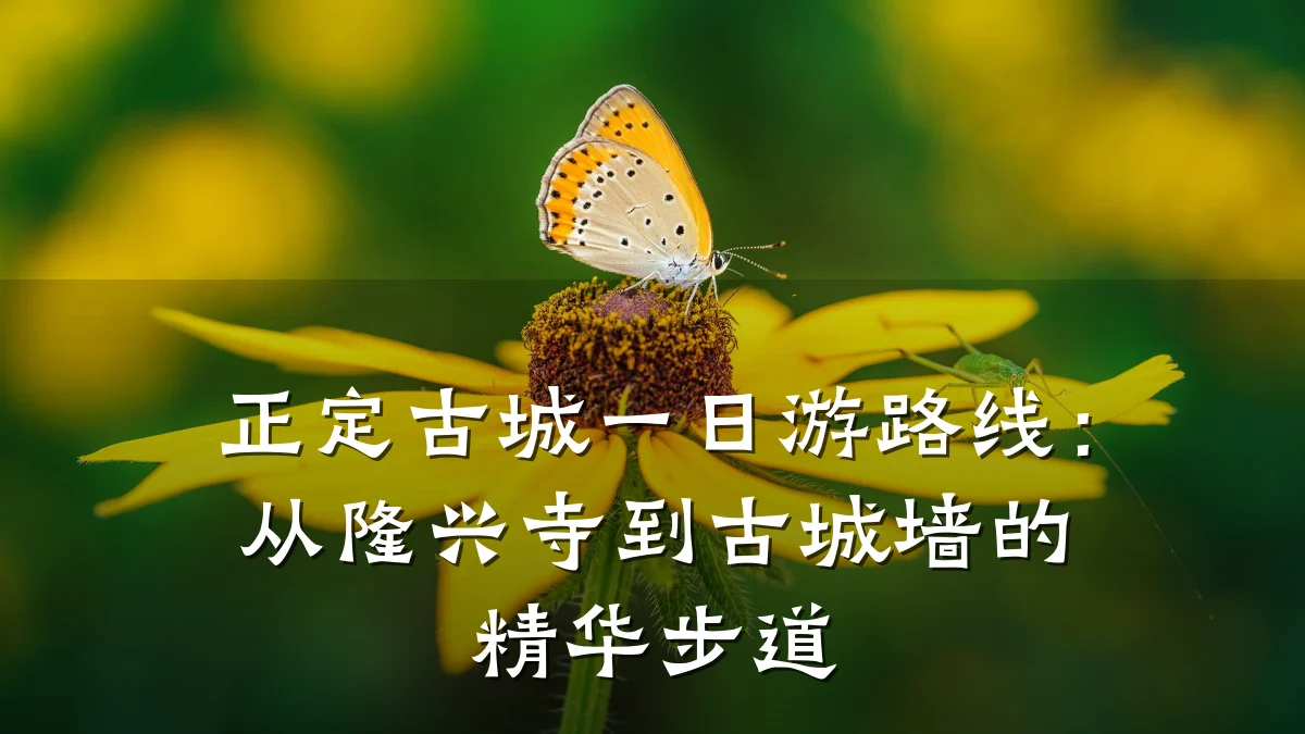 正定古城一日游路线：从隆兴寺到古城墙的精华步道
