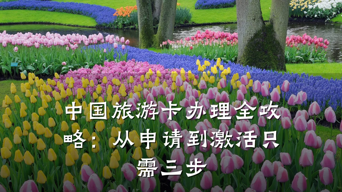 中国旅游卡办理全攻略:从申请到激活只需三步