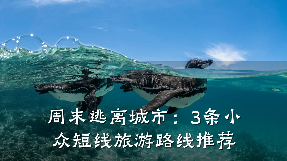 周末逃离城市：3条小众短线旅游路线推荐