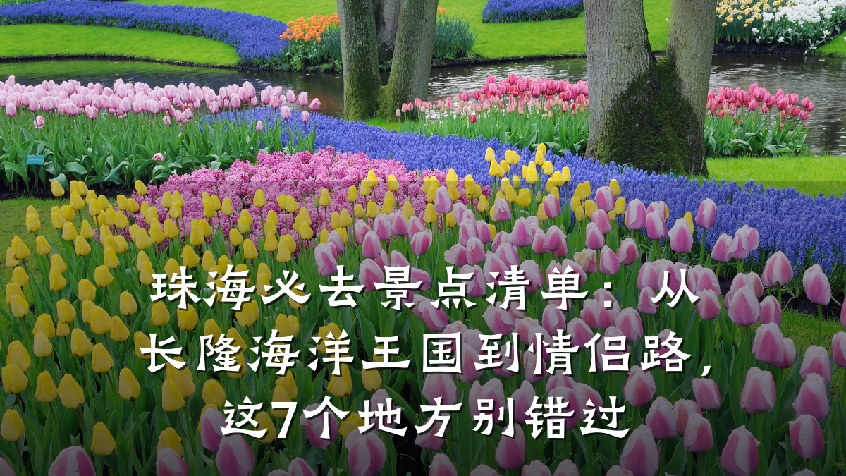 珠海必去景点清单:从长隆海洋王国到情侣路,这7个地方别错过