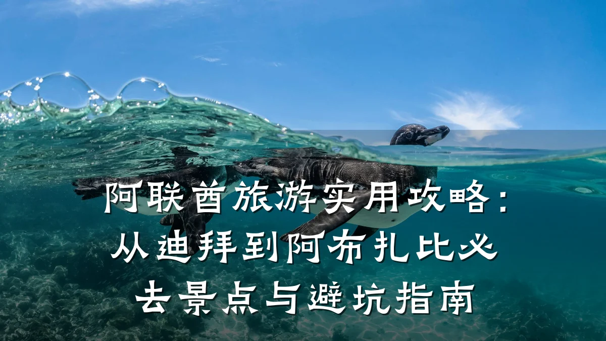 阿联酋旅游实用攻略:从迪拜到阿布扎比必去景点与避坑指南