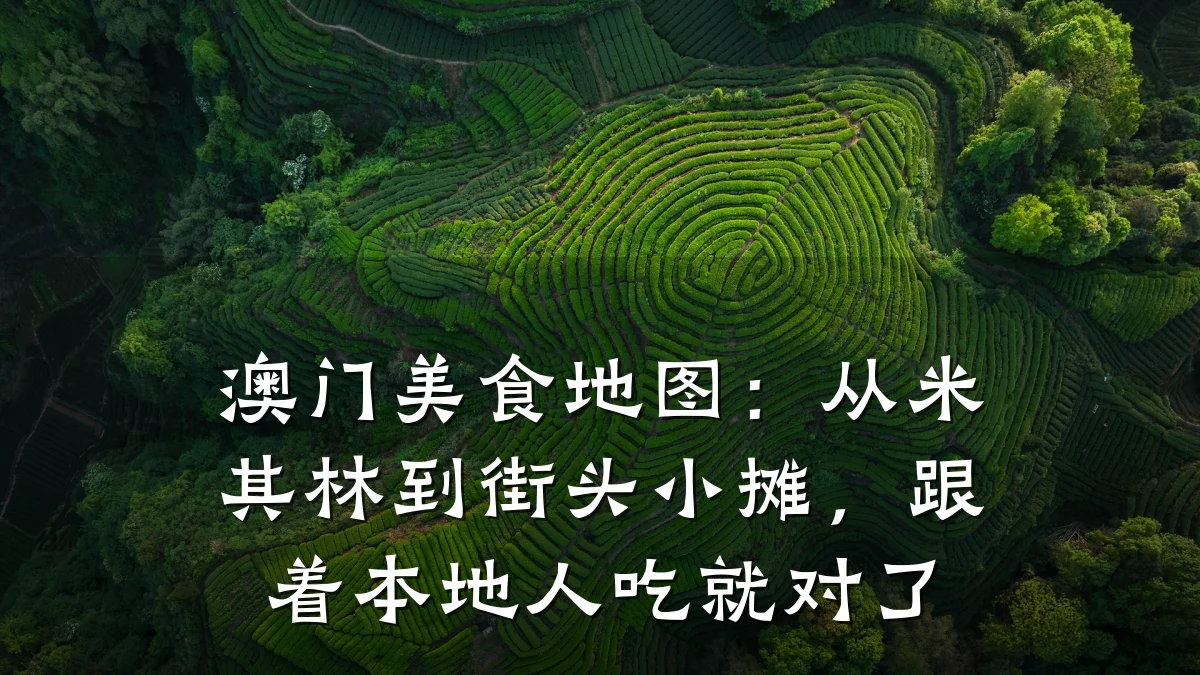 澳门美食地图：从米其林到街头小摊，跟着本地人吃就对了