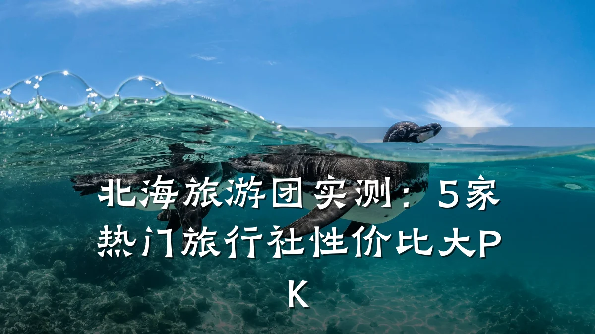北海旅游团实测:5家热门旅行社性价比大PK