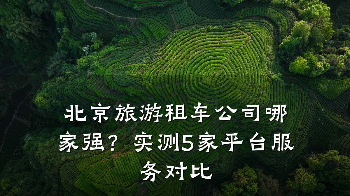 北京旅游租车公司哪家强?实测5家平台服务对比