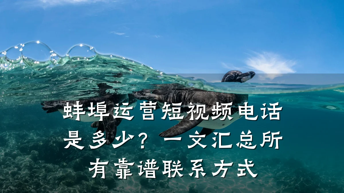 蚌埠运营短视频电话是多少？一文汇总所有靠谱联系方式