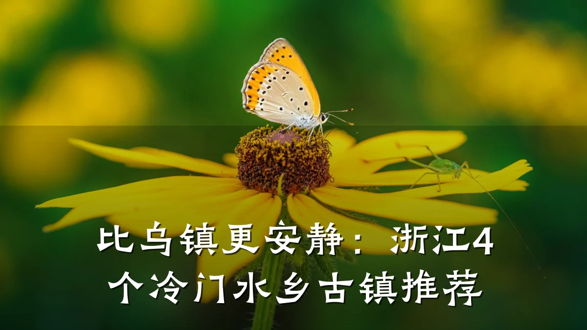 比乌镇更安静:浙江4个冷门水乡古镇推荐