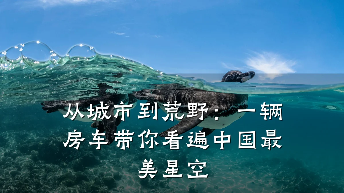 从城市到荒野:一辆房车带你看遍中国最美星空