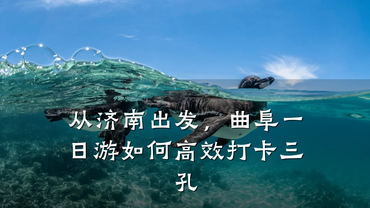 从济南出发，曲阜一日游如何高效打卡三孔