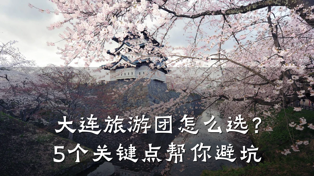 大连旅游团怎么选?5个关键点帮你避坑