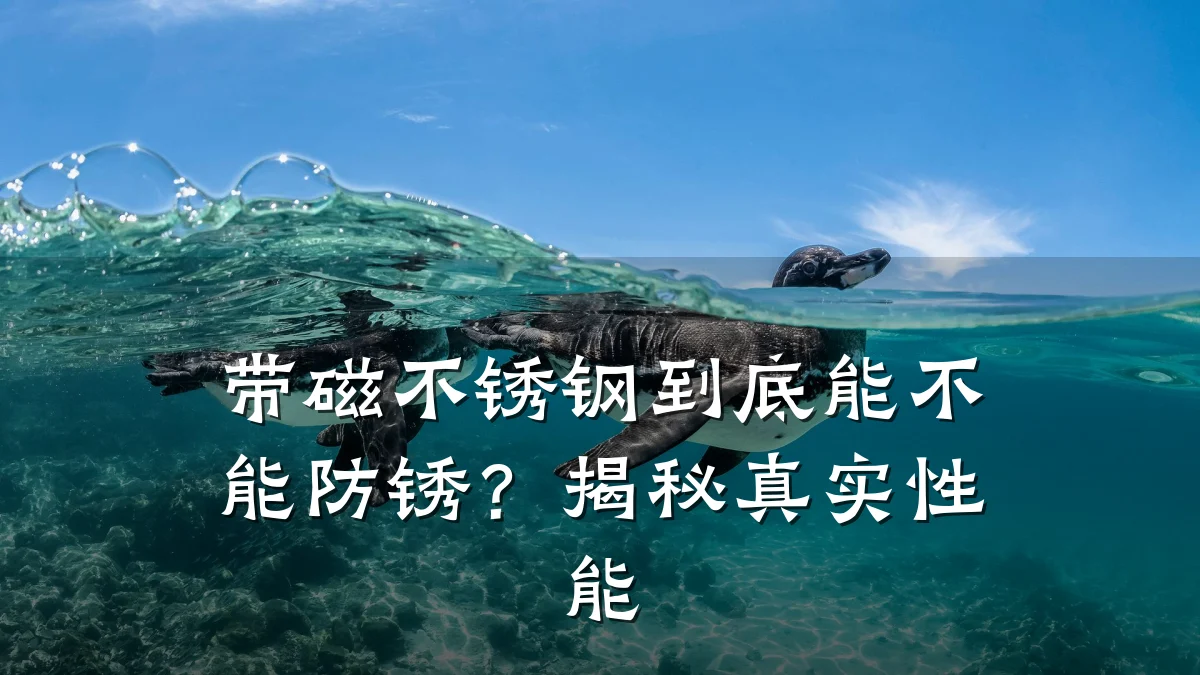 带磁不锈钢到底能不能防锈？揭秘真实性能