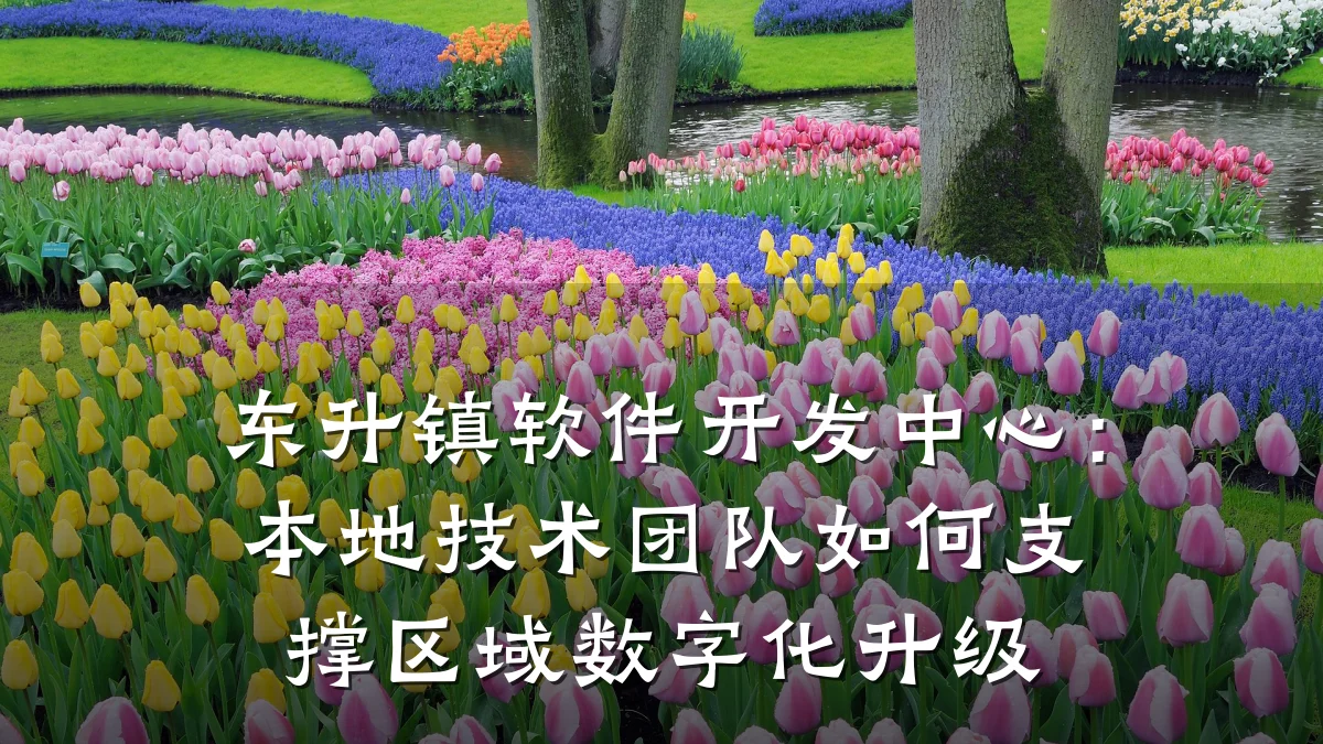 东升镇软件开发中心:本地技术团队如何支撑区域数字化升级