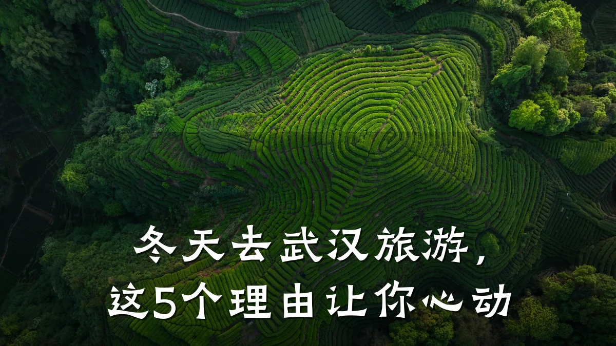冬天去武汉旅游,这5个理由让你心动