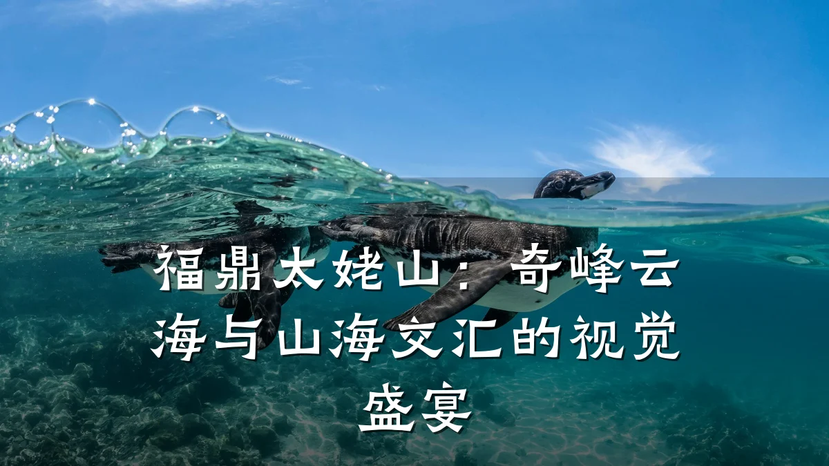 福鼎太姥山:奇峰云海与山海交汇的视觉盛宴