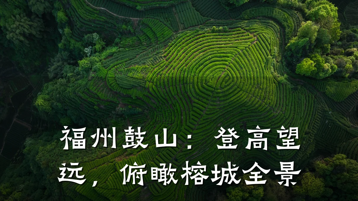 福州鼓山：登高望远，俯瞰榕城全景