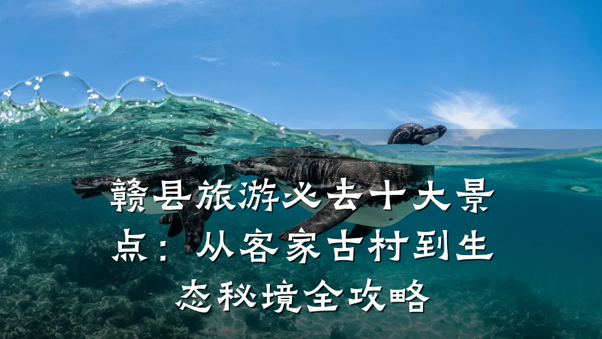 赣县旅游必去十大景点：从客家古村到生态秘境全攻略